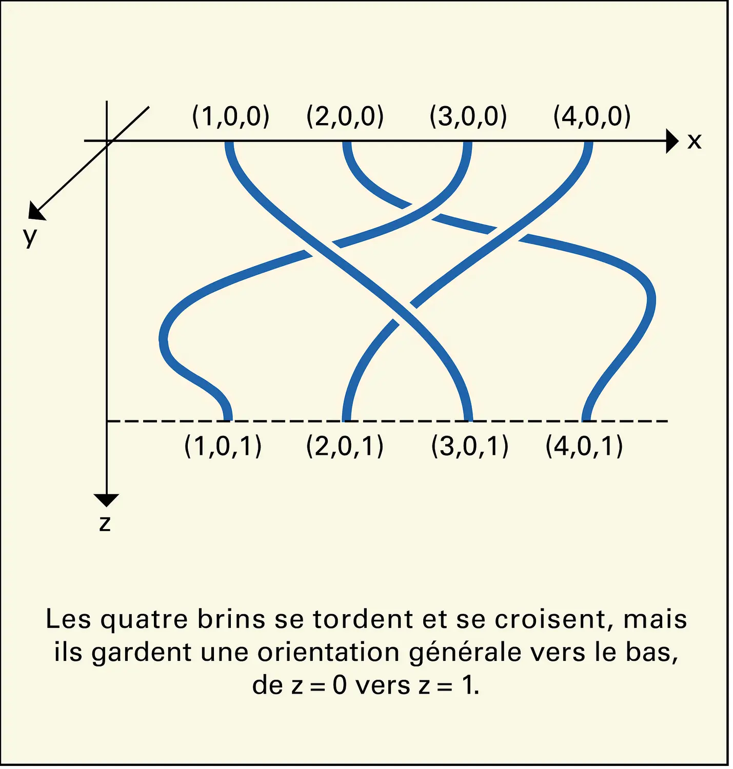 Tresse géométrique