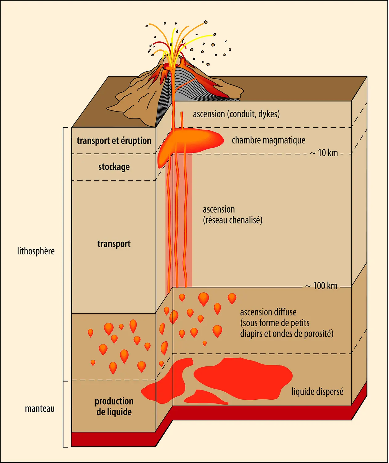 Processus d’une éruption volcanique.