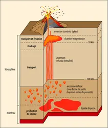 Processus d’une éruption volcanique. - crédits : Encyclopædia Universalis France