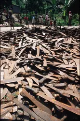 Génocide au Rwanda - crédits : Scott Peterson/ Liaison/ Getty Images