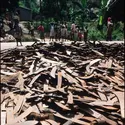 Génocide au Rwanda - crédits : Scott Peterson/ Liaison/ Getty Images