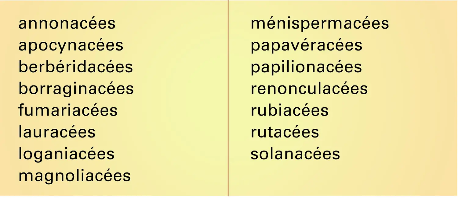 Dicotylédones produisant des alcaloïdes