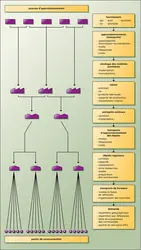 Logistique. Représentation des processus logistiques selon une approche technique - crédits : Encyclopædia Universalis France