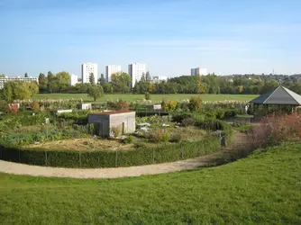 Jardins familliaux - crédits : D. Greco