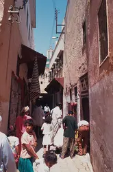 Médina de Meknès (Maroc) - crédits : Insight Guides