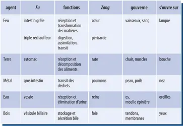 Fu et Zang : leurs liens, leurs fonctions, leurs ouvertures - crédits : Encyclopædia Universalis France
