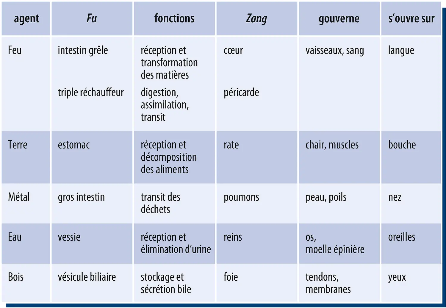 Fu et Zang : leurs liens, leurs fonctions, leurs ouvertures