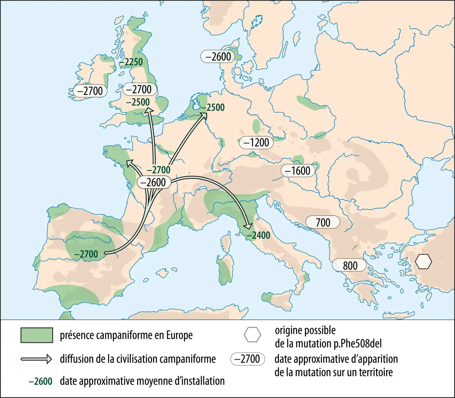 Hypothèse concernant la diffusion de la principale mutation responsable de la mucoviscidose