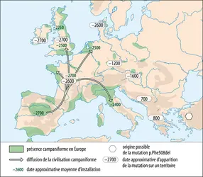 Hypothèse concernant la diffusion de la principale mutation responsable de la mucoviscidose - crédits : Encyclopædia Universalis France