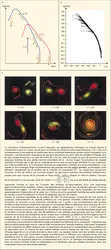 Turbulence : physique et spectre de la turbulence tridimensionnelle et bidimensionnelle - crédits : Encyclopædia Universalis France