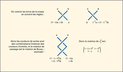 Représentation de Burau - crédits : Encyclopædia Universalis France