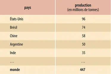 Oléagineux : principaux producteurs de graines
 - crédits : Encyclopædia Universalis France