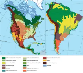 Végétation - crédits : Encyclopædia Universalis France