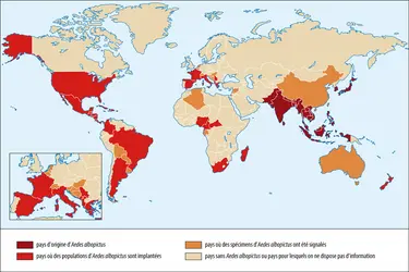 Distribution pays par pays du moustique tigre <em>Aedes albopictus</em> - crédits : Encyclopædia Universalis France