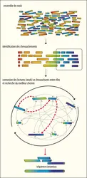 Principe de l’approche OLC (Overlap Layout Consensus) pour l’assemblage <em>de novo</em> des produits de séquençage - crédits : Encyclopædia Universalis France