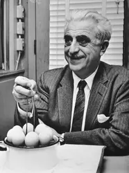 Gregory Pincus,  inventeur de la pilule contraceptive - crédits : Bettmann/ Getty Images