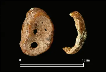 Fragments de la phalange distale de l’homme de Denisova ayant permis de définir cette lignée humaine - crédits : Max Planck Institute for Evolutionary Anthropology 