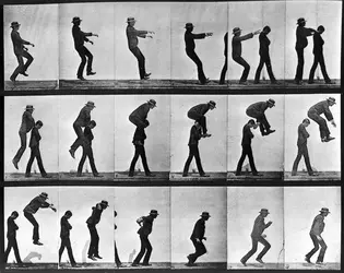 Décomposition du mouvement, E. Muybridge - crédits : Ullstein Bild/ Ullstein Bild/ Getty Images