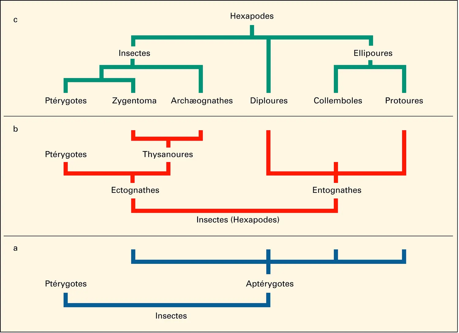 Classifications diverses