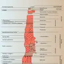 Jura : stratigraphie - crédits : Encyclopædia Universalis France