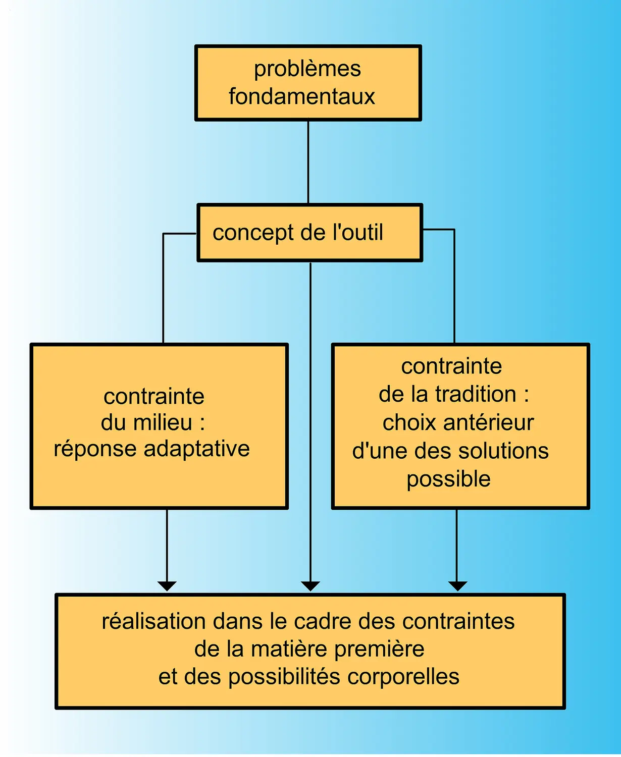 
			Contraintes et réussites des outils de l'homme
    préhistorique