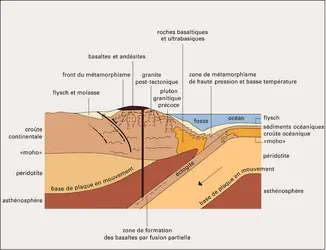 Structures orogéniques et magmas - crédits : Encyclopædia Universalis France