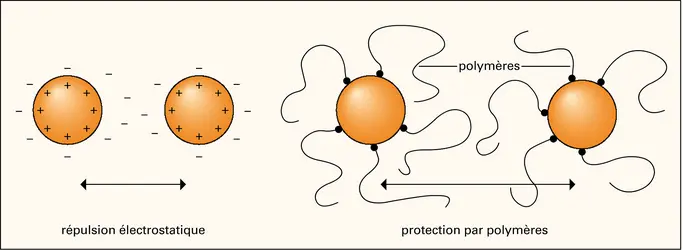 Nanoparticules : stabilisation - crédits : Encyclopædia Universalis France