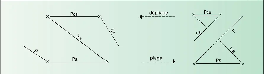 Quotient du graphe des lignes du schéma de Freud - crédits : Encyclopædia Universalis France