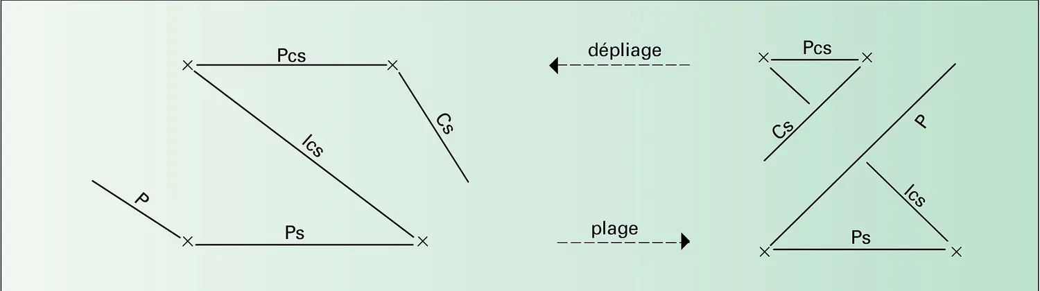 Quotient du graphe des lignes du schéma de Freud