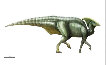 Parasaurolophus - crédits : Encyclopædia Universalis France