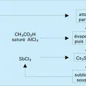 Extraction à partir du pollux - crédits : Encyclopædia Universalis France