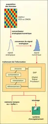 Appareil photographique numérique : schéma de principe - crédits : Encyclopædia Universalis France