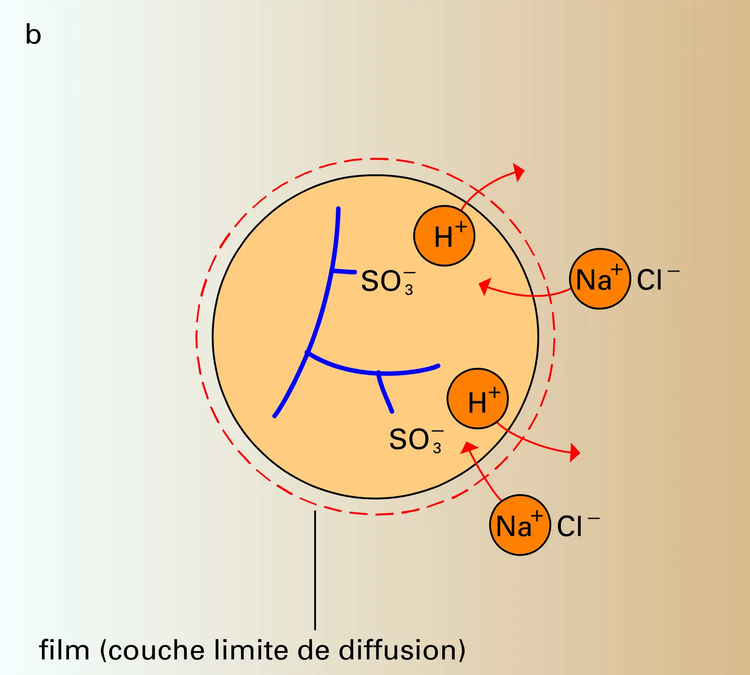 Grain de résine - vue 2