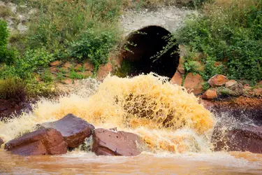 Pollution des eaux - crédits : S. Karich/ Shutterstock