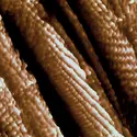 Nanotubes de carbone - crédits : Eye of Science/ SPL