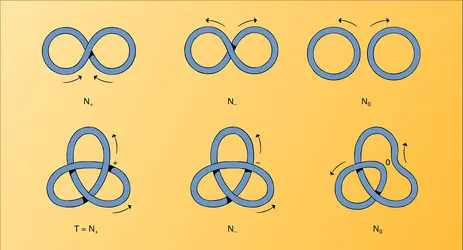 Exemples du calcul du polynôme HOMFLY - crédits : Encyclopædia Universalis France