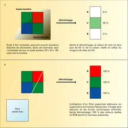 Photographie numérique : rôle du filtre passe-bas - crédits : Encyclopædia Universalis France