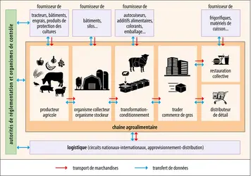 Traçabilité dans la chaîne agroalimentaire - crédits : Encyclopædia Universalis France