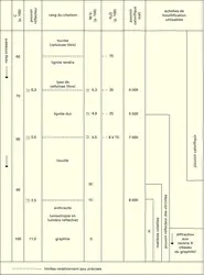 Houillification - crédits : Encyclopædia Universalis France