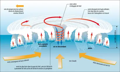 Structure d’un cyclone tropical - crédits : Encyclopædia Universalis France