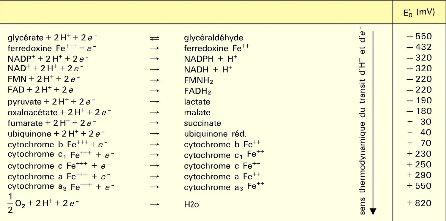 Potentiels redox