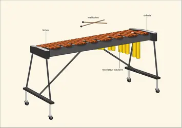 Xylophone - crédits : Encyclopædia Universalis France