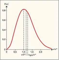 Distribution maxwellienne des vitesses moléculaires - crédits : Encyclopædia Universalis France