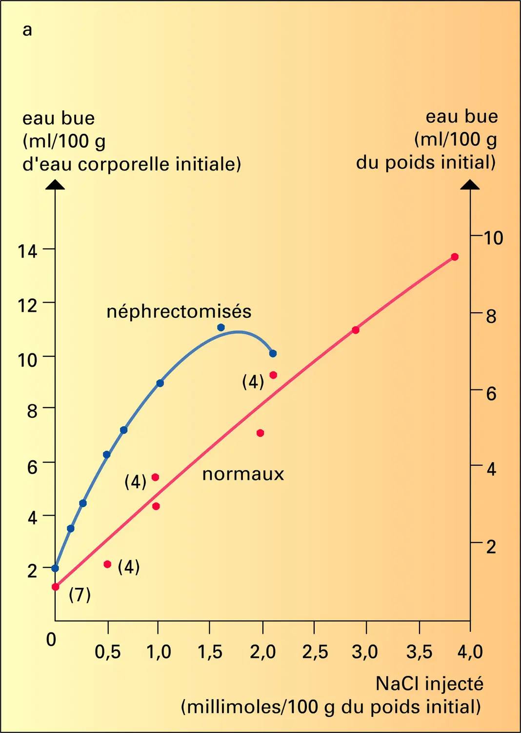 Déshydratation cellulaire - vue 1