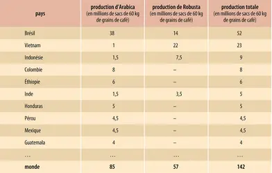 Café : producteurs	 
 - crédits : Encyclopædia Universalis France