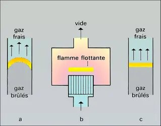 Flammes mobiles - crédits : Encyclopædia Universalis France