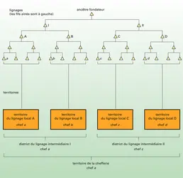 Chefferie polynésienne : organisation politique territoriale et parenté - crédits : Encyclopædia Universalis France