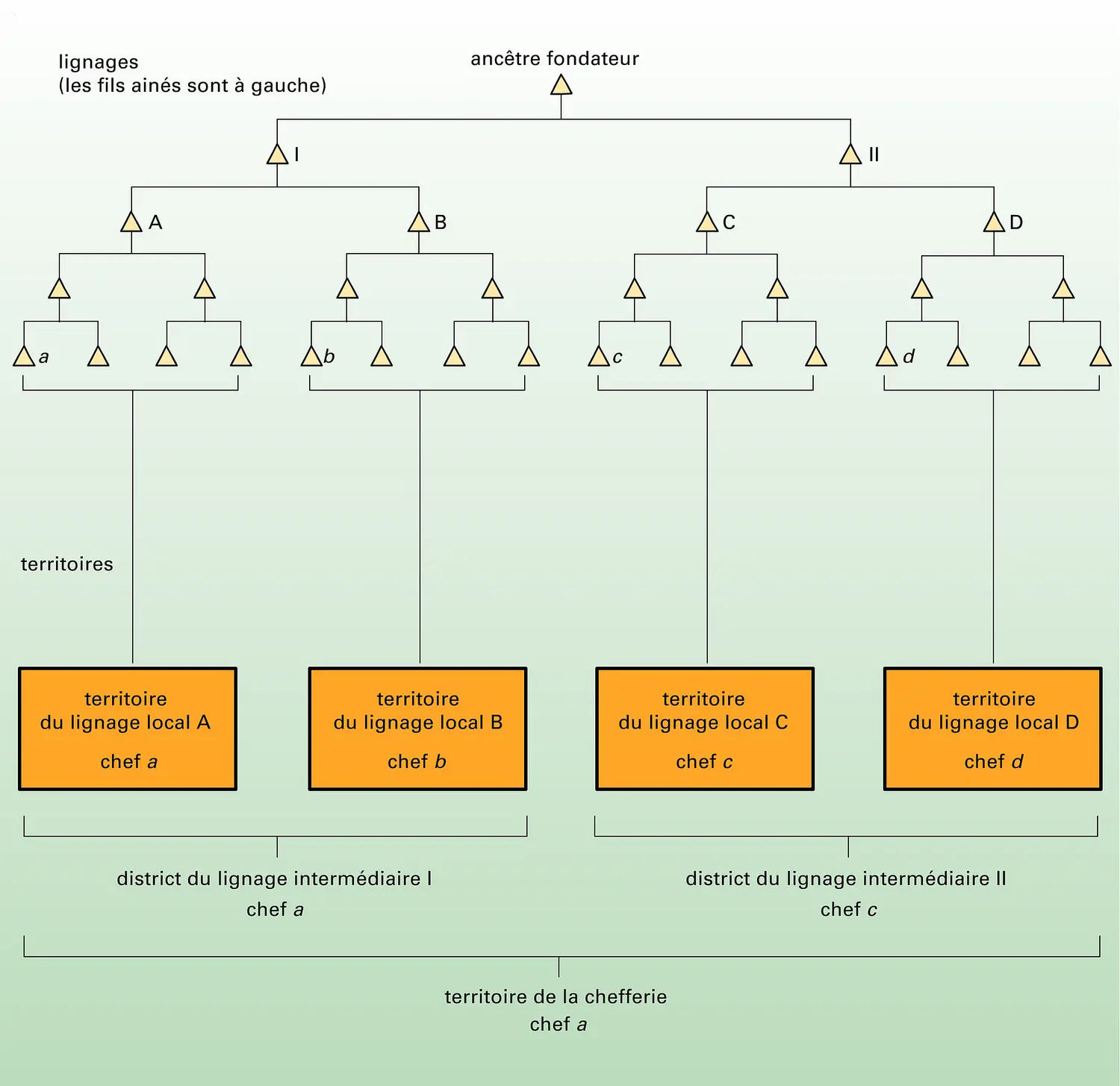 Chefferie polynésienne : organisation politique territoriale et parenté