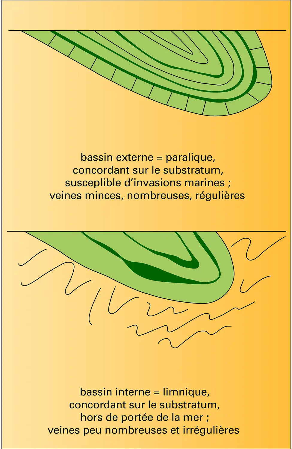 Types principaux de bassins houillers