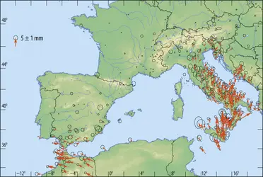 Vitesses de déplacement à la surface de la croûte terrestre mesurées par géodésie spatiale - crédits : Encyclopædia Universalis France